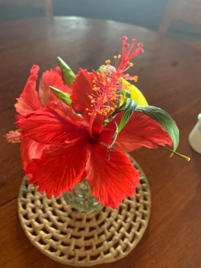 Ventos Da Atalaia Homestay